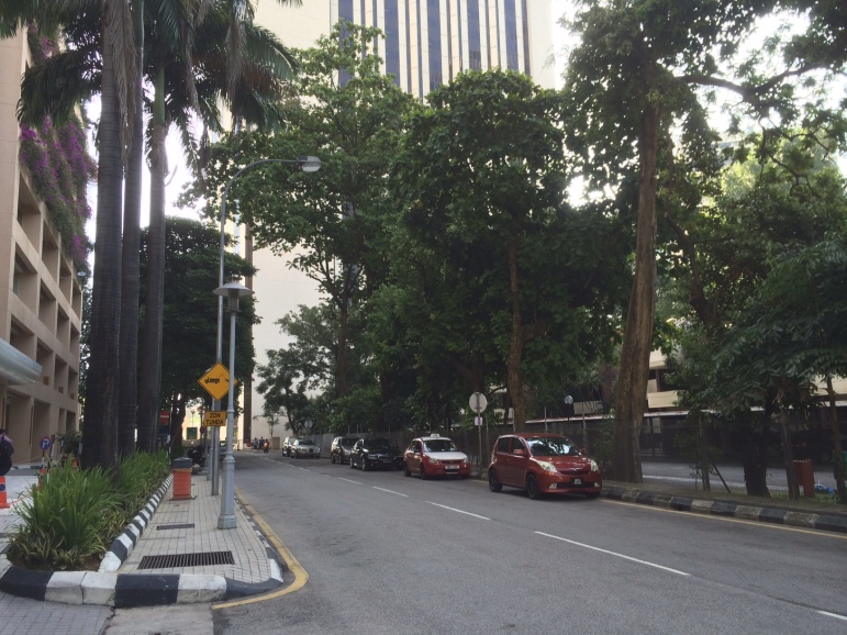 An image from my walk to work. KL is a very lush climate filled with much vegetation. 