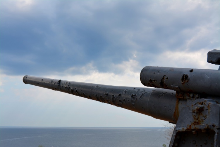 One of the many guns that remain on Corregidor. You can notice the scarring on the barrel from the white phosphorus bombs dropped during the war to disable the guns.